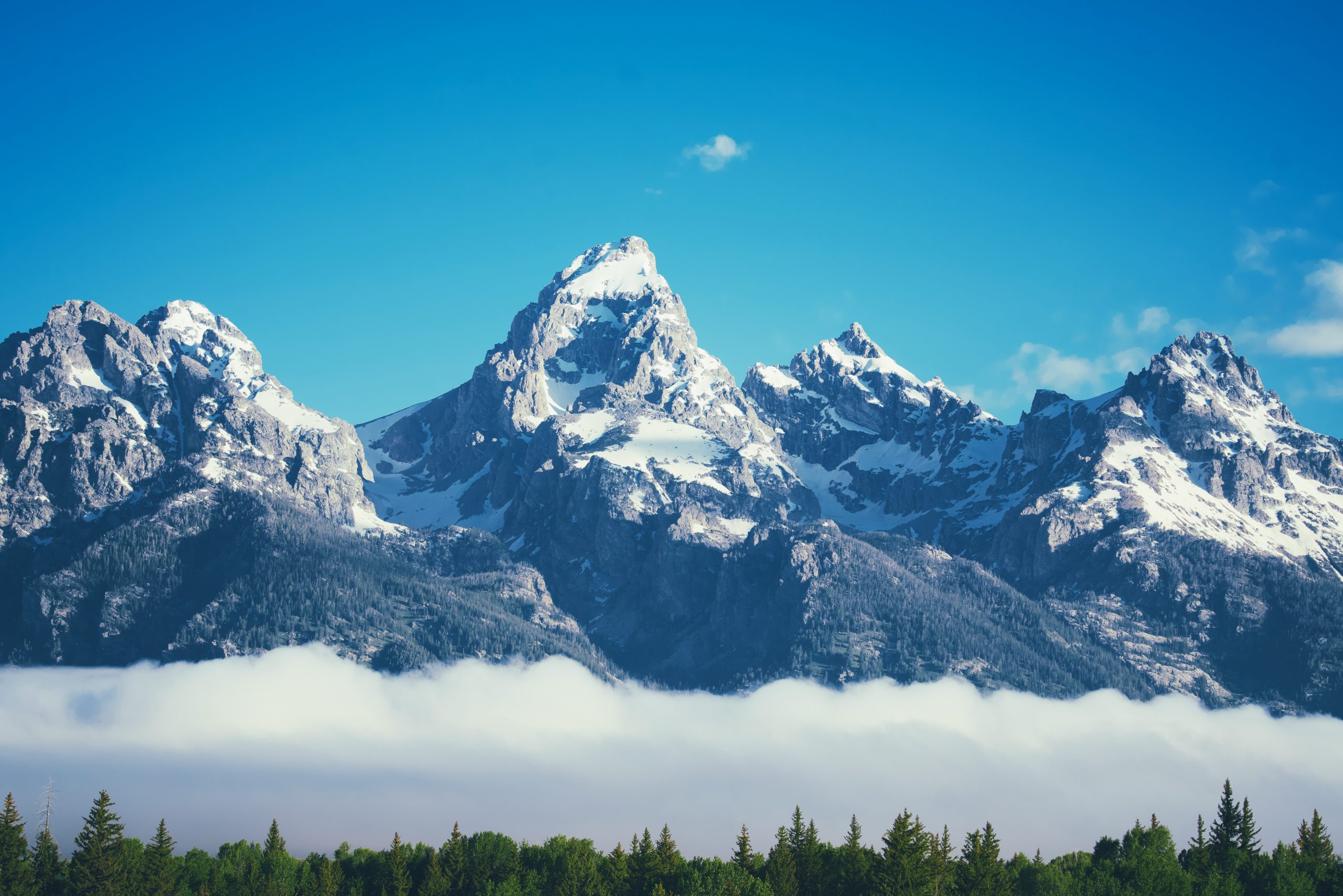 grand teton