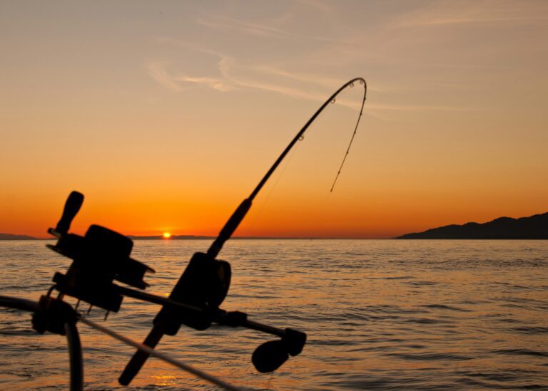 lake of the ozarks water sports3
