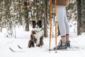 cross country skiing