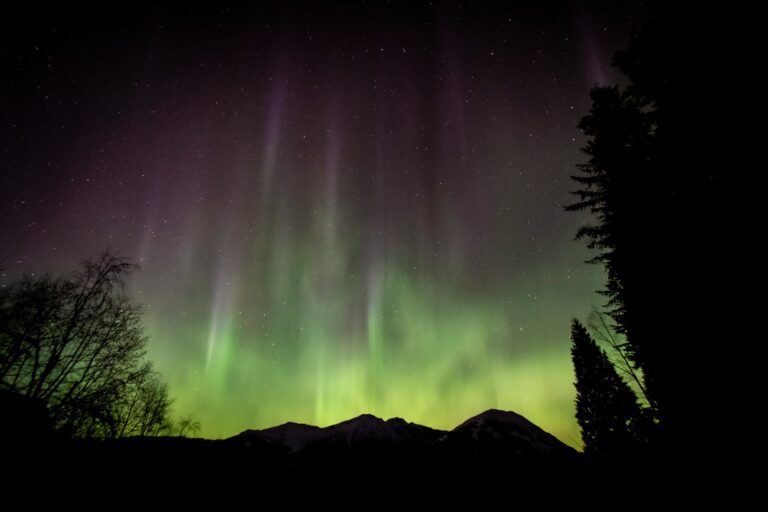 wapusk-national-park3