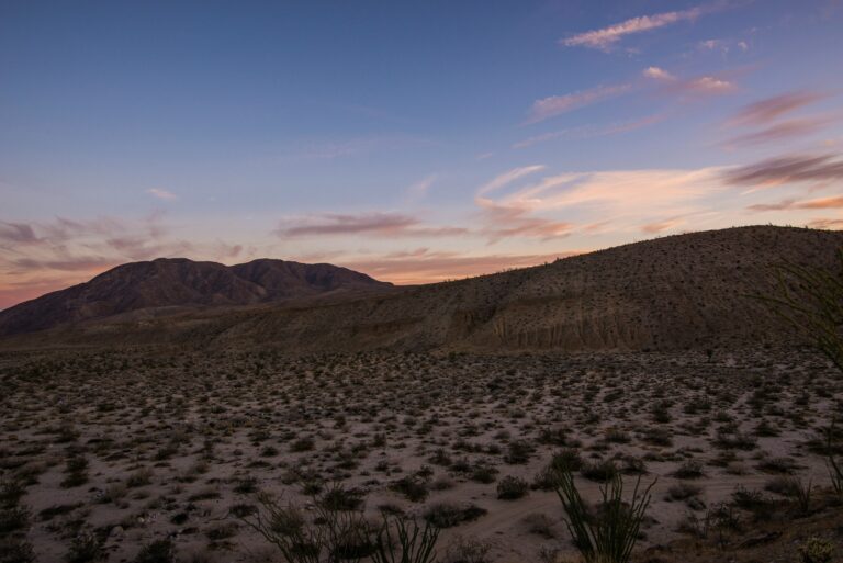 anza-borrego desert state park3