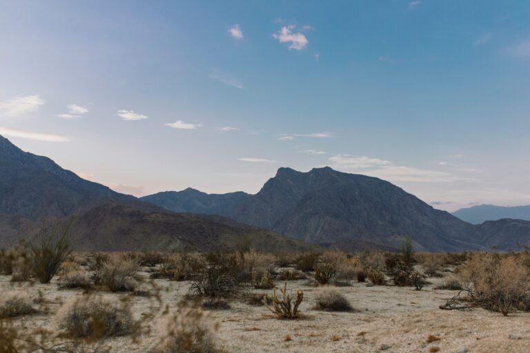 anza-borrego-desert-state-park2