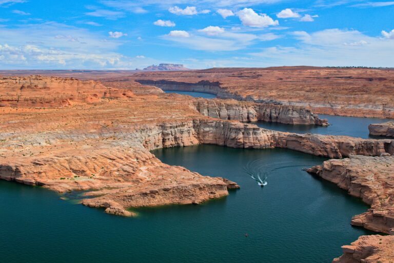 arizona scaled