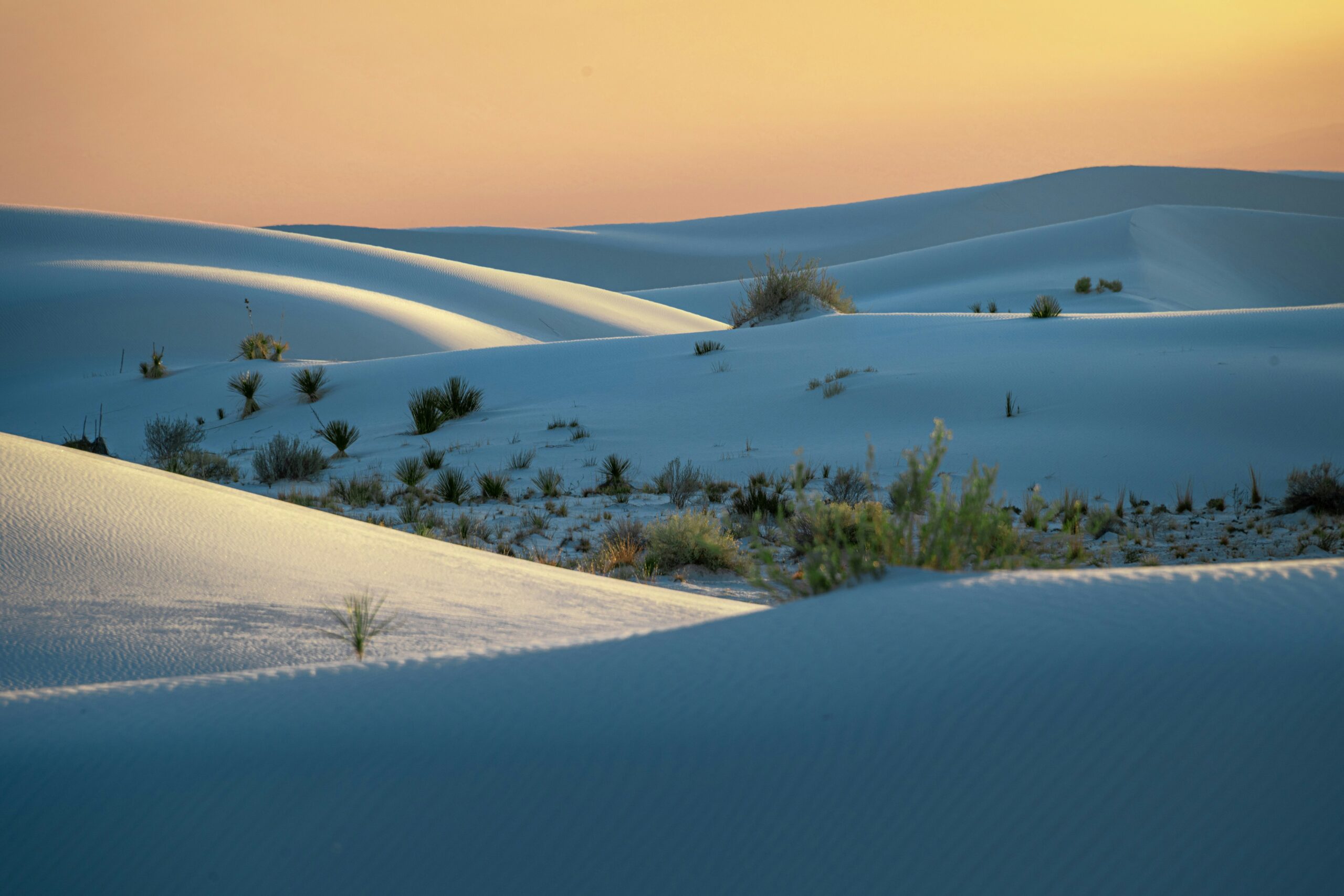 new mexico hero image scaled