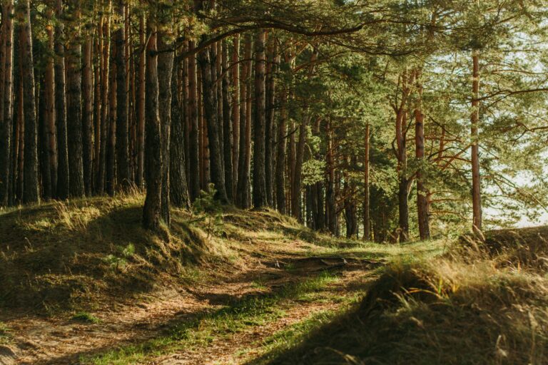 new brunswick hikes scaled