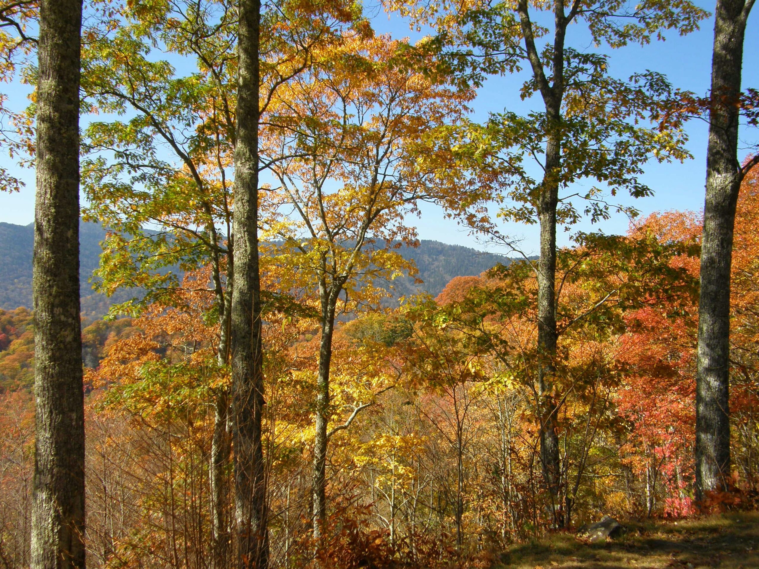 maryland hikes scaled