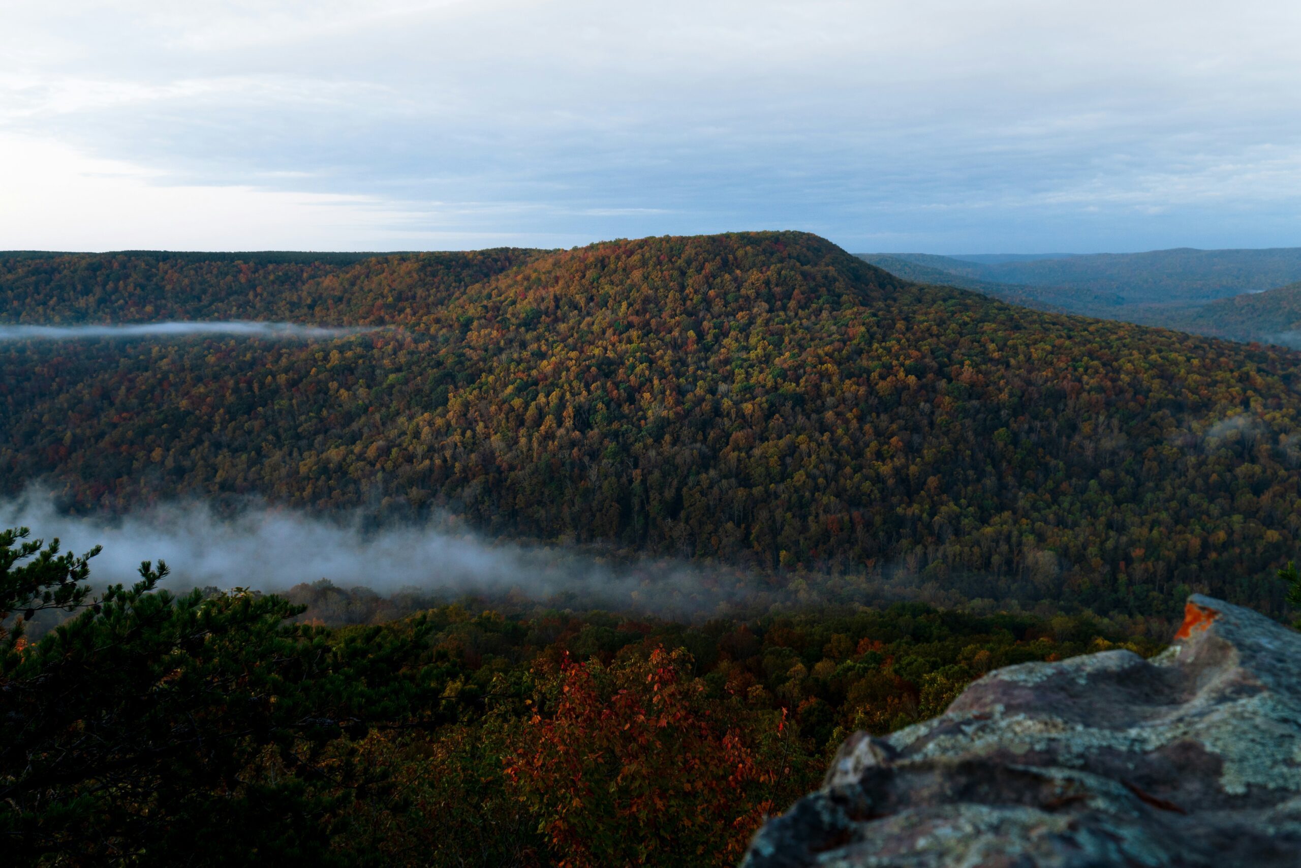 tennessee
