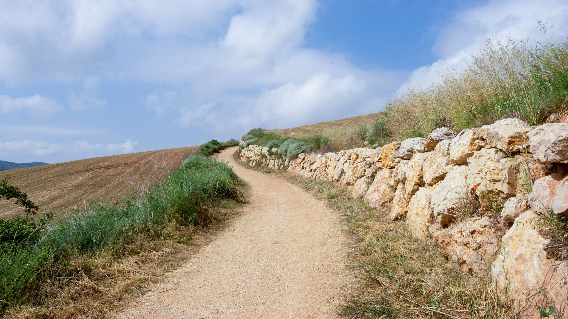 Camino de Santiago Navarre Spain