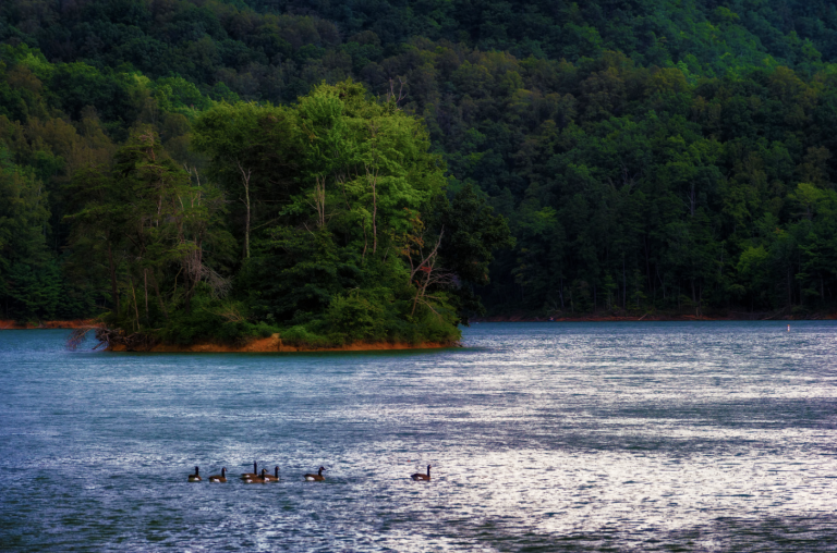 Screen Shot at . . PM