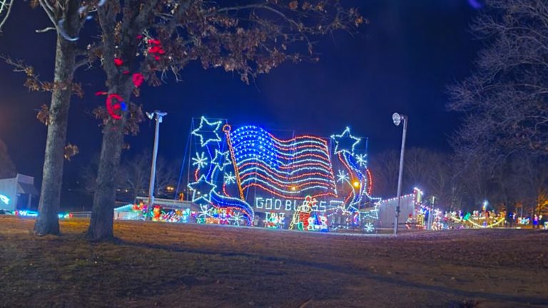 Enchanted Village of Lights