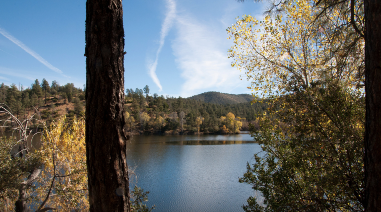 Prescott