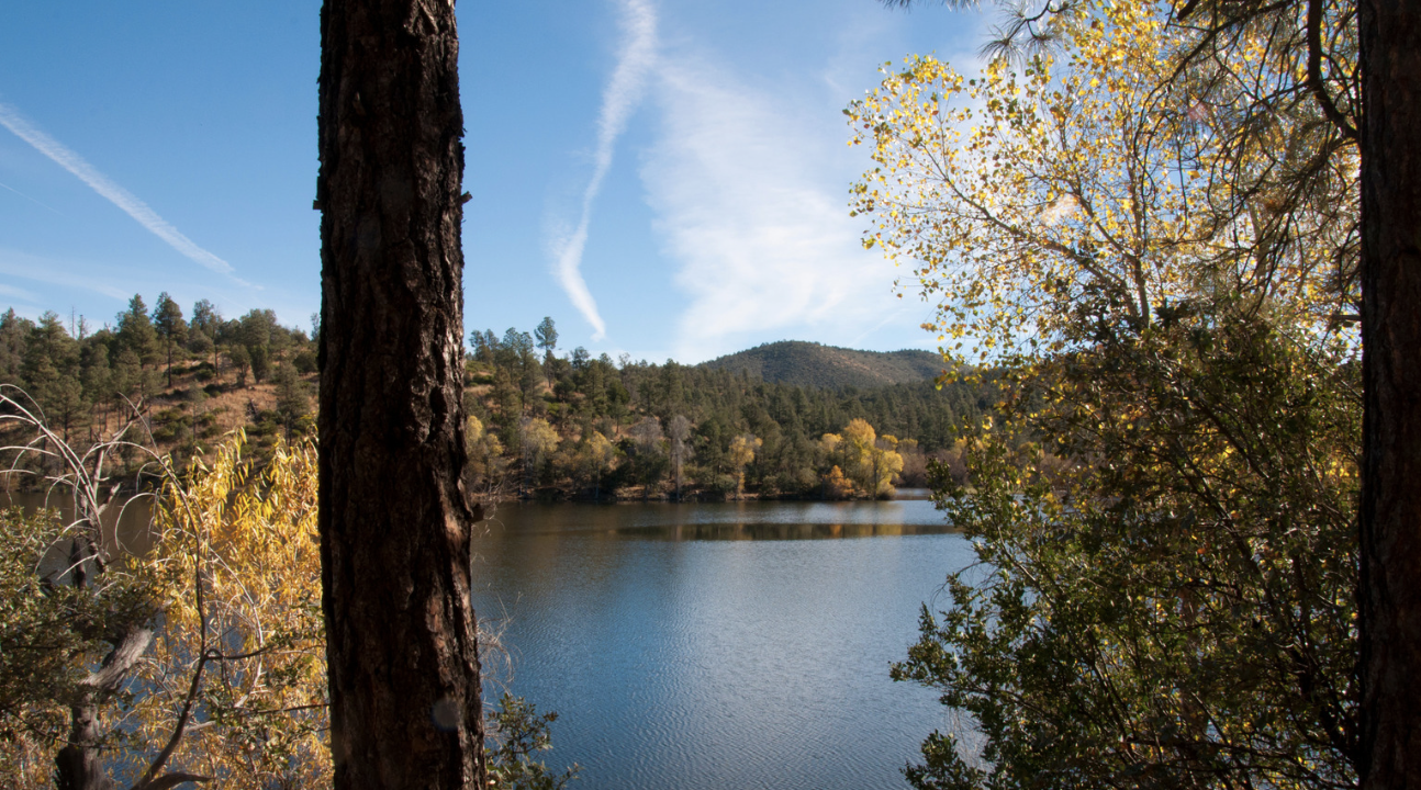 Prescott