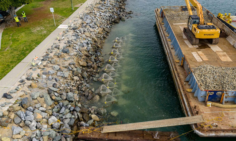 Visitor's Dock