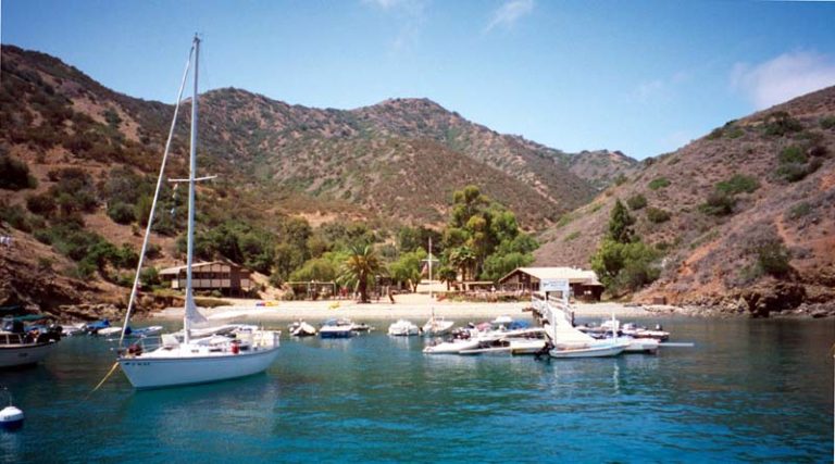 Fourth Of July Yacht Club