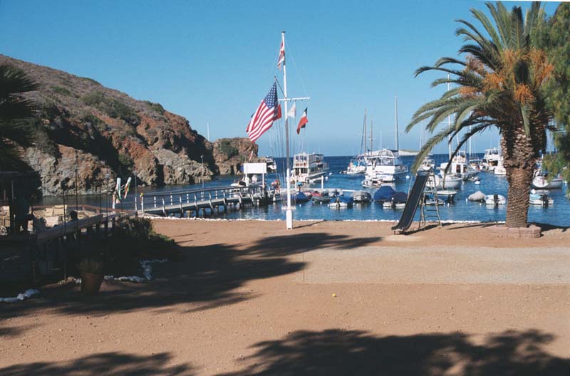 Fourth Of July Yacht Club