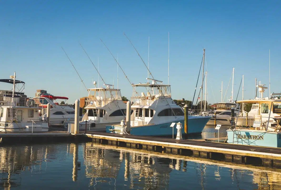 Safe Harbor Bluewater