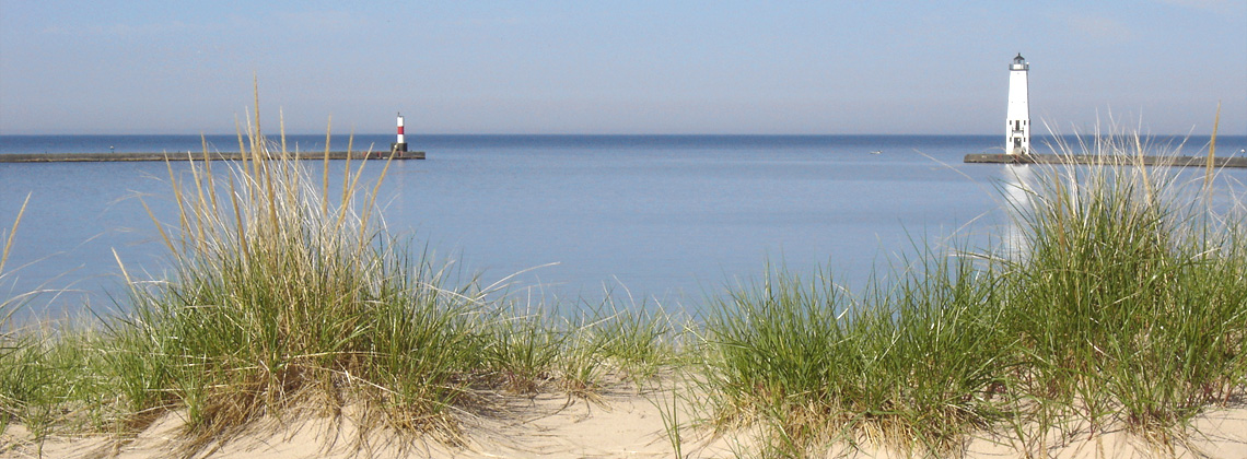 Marina At Harbor Lights