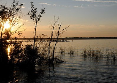 Doctors Lake Marina