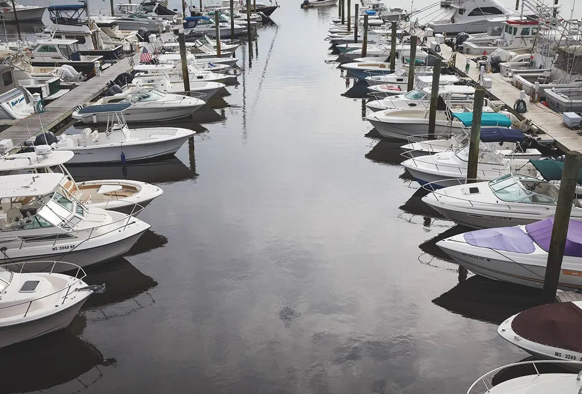 Safe Harbor Green Harbor