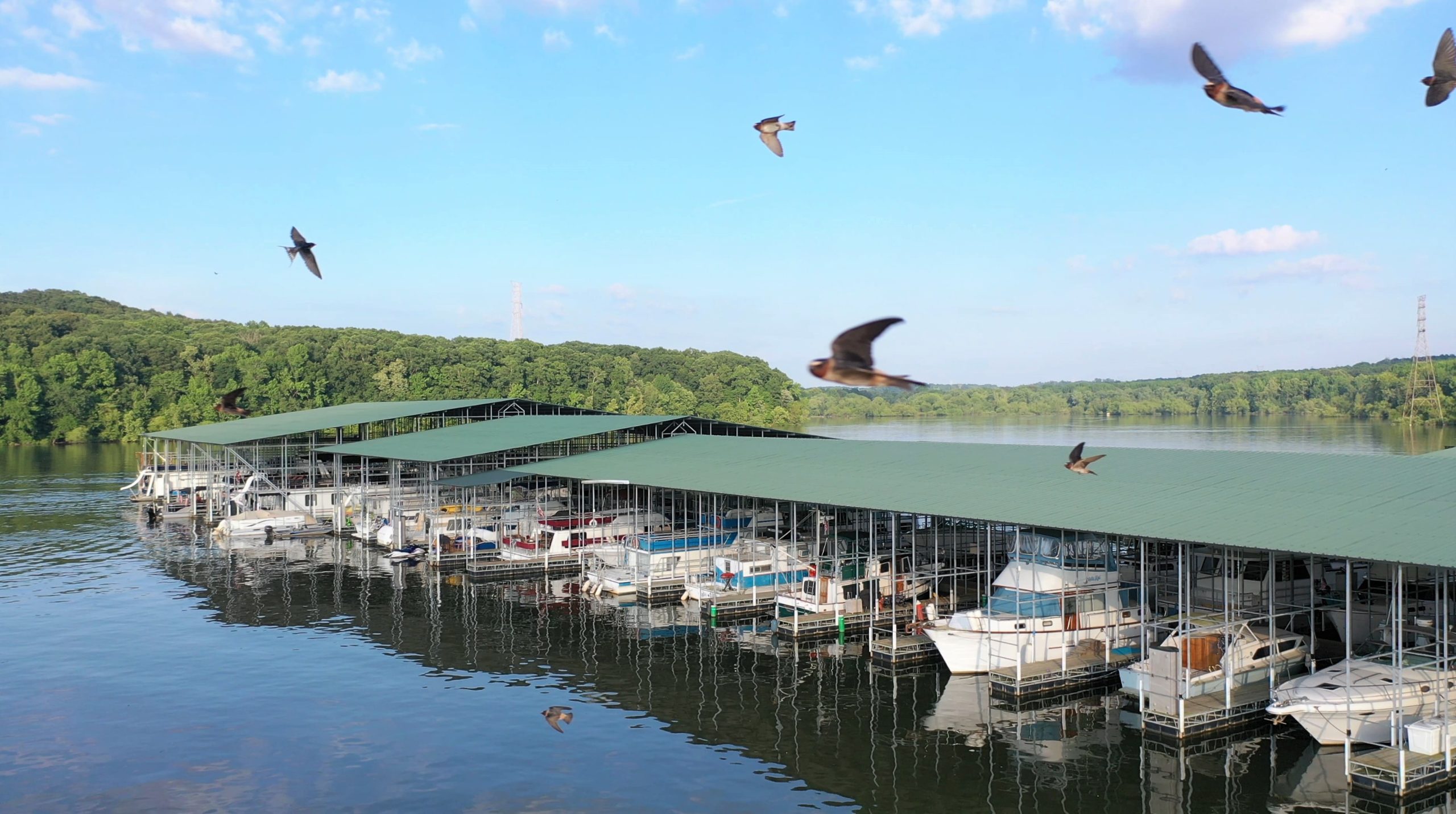 Pebble Isle Marina
