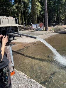 Lake Of The Woods Resort