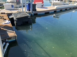 Coronado Yacht Club