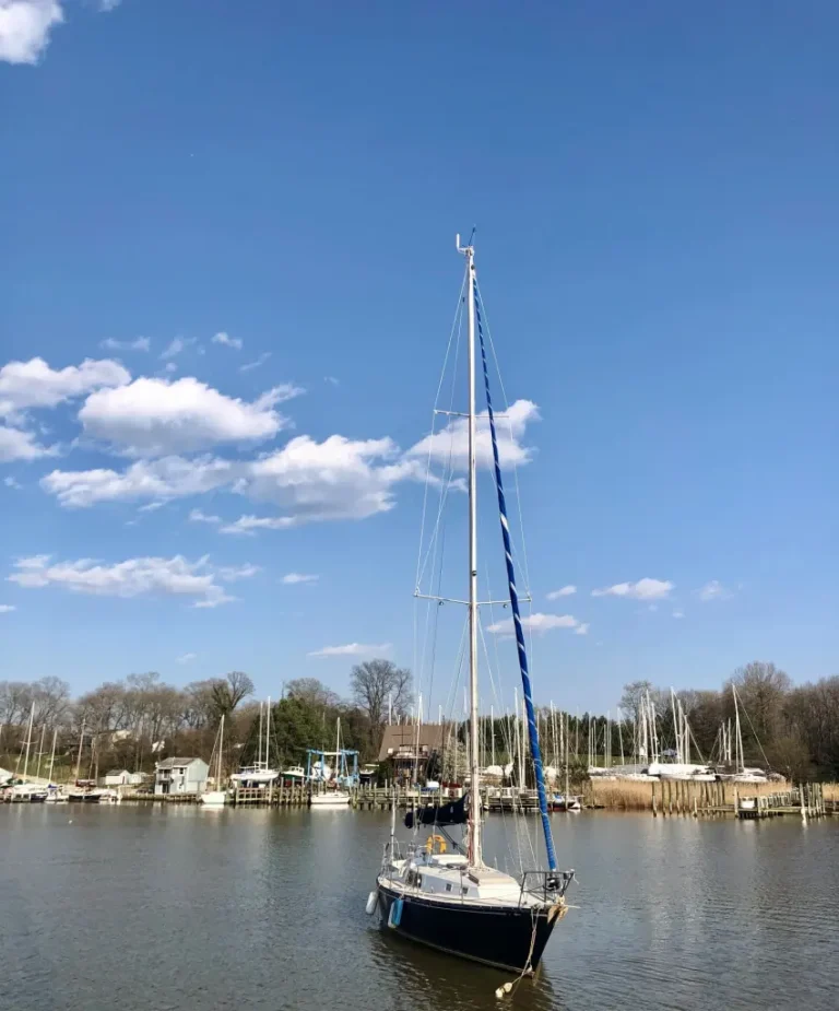 Wharf At Handys Point
