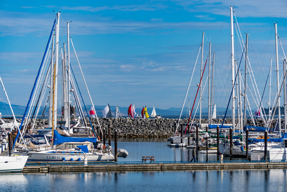 Port Sidney Marina
