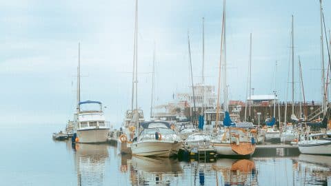 Savannah Marina