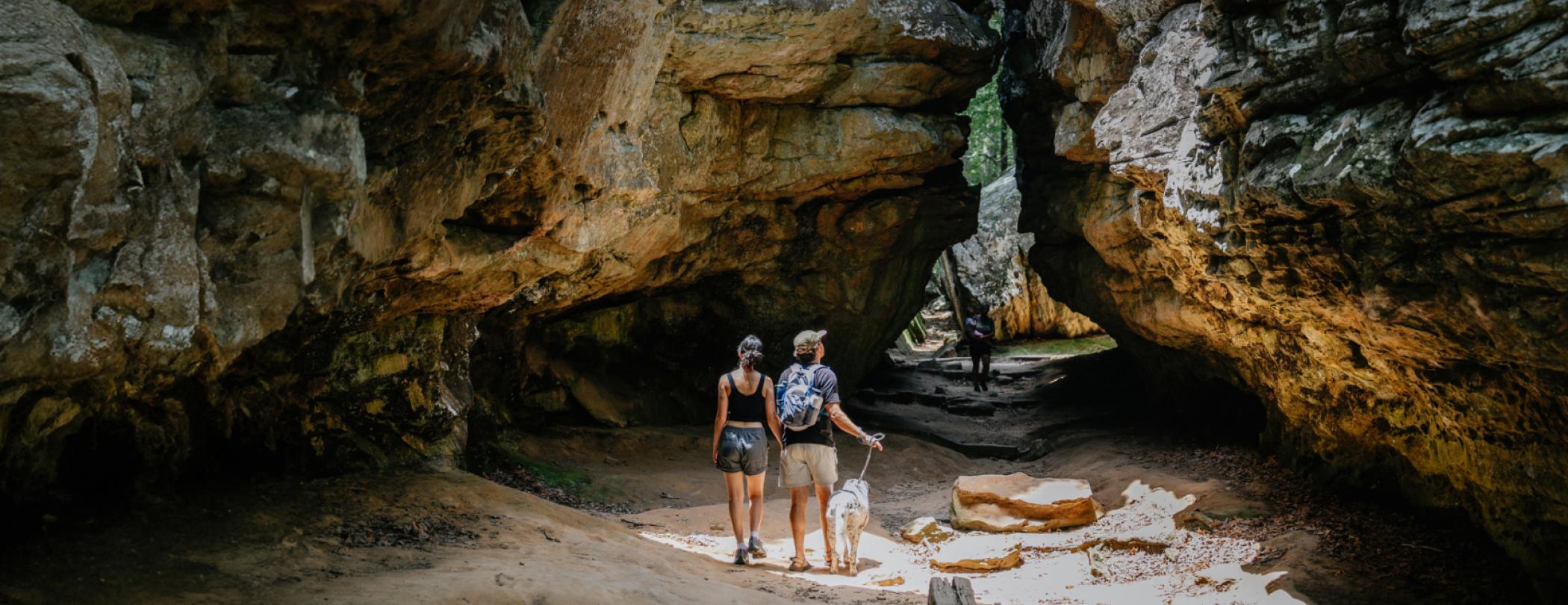 Lake Ouachita State Park