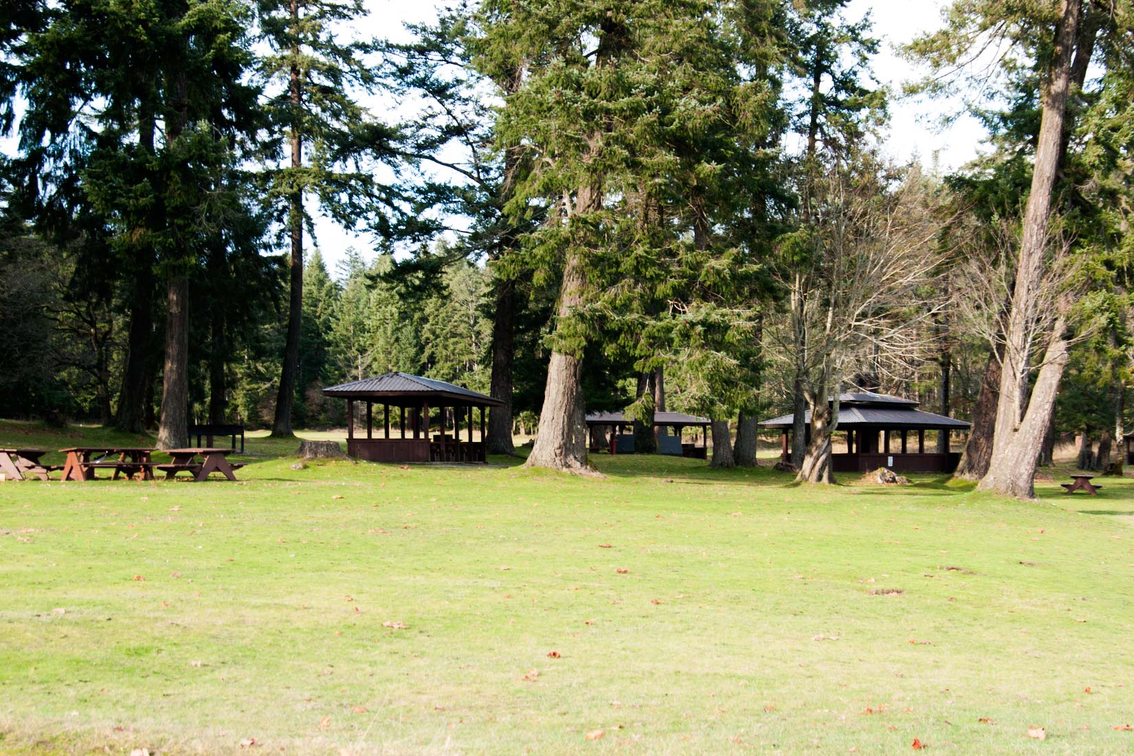 Newcastle Island Marine Park