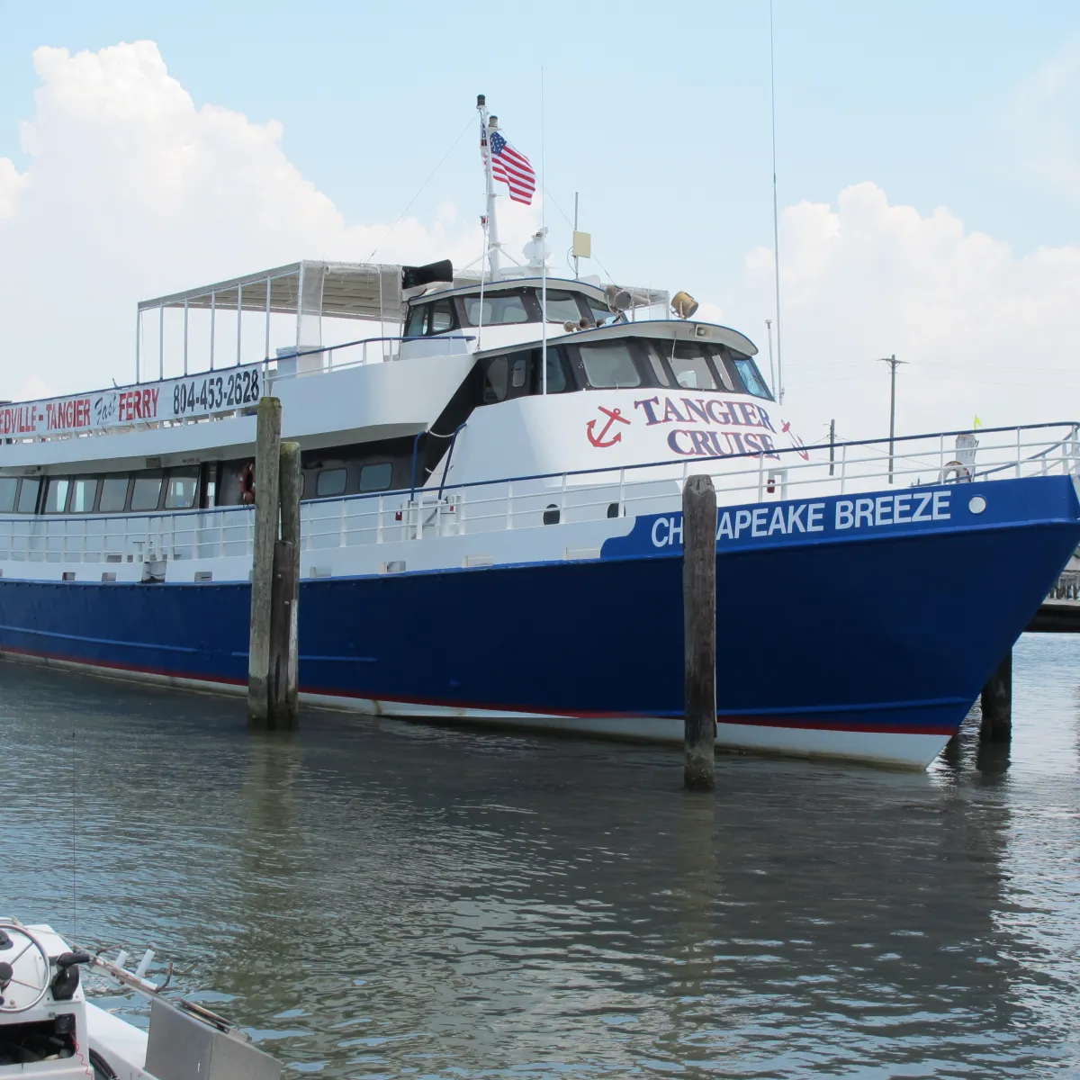 Buzzard's Point Marina