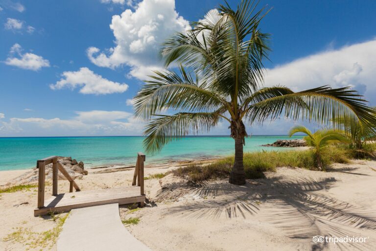 Bimini Cove Resort And Marina