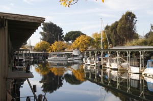 Delta Marina Yacht Harbor