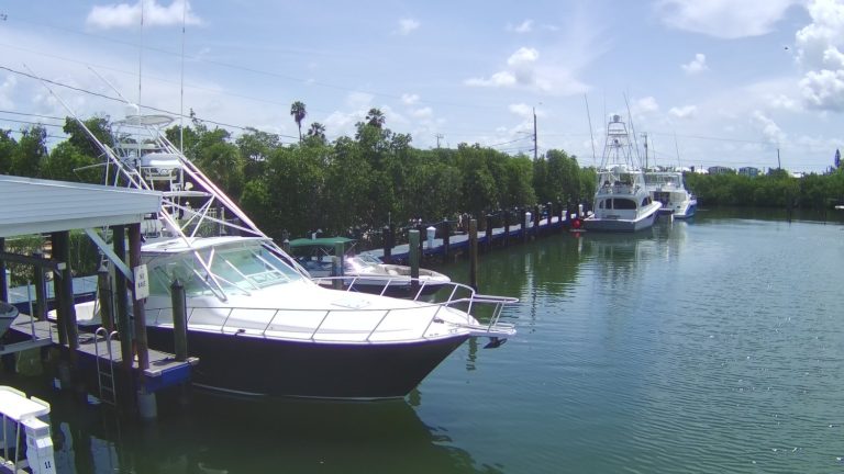 White Marlin Marina