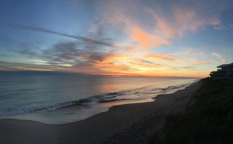 Sea Oaks