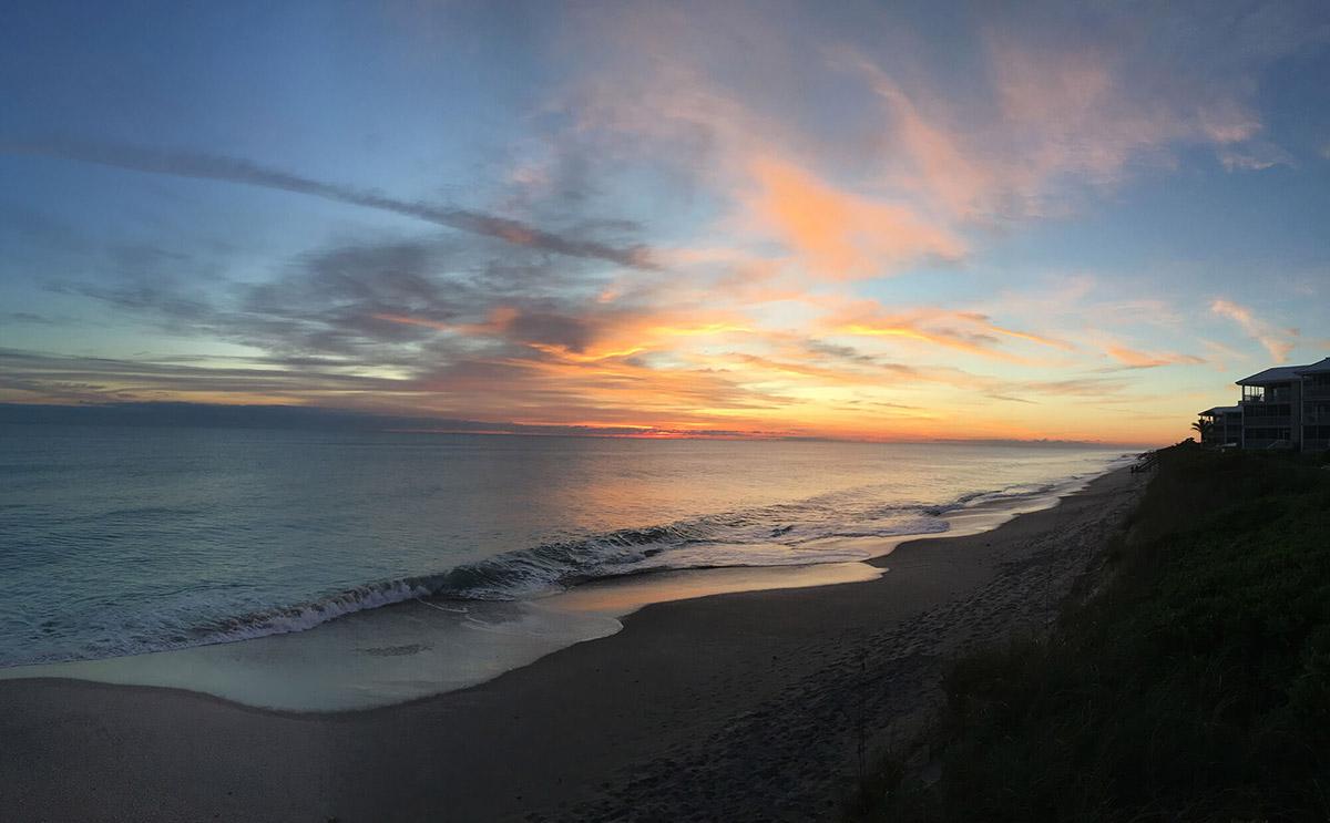 Sea Oaks