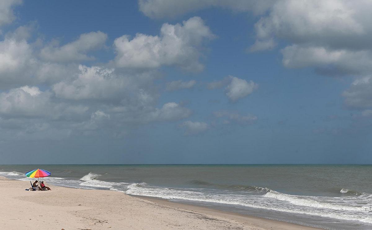 Sea Oaks