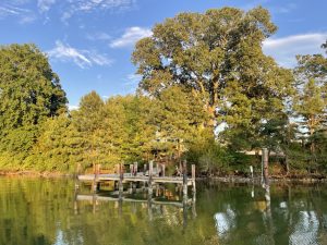 Dennis Point Marina And Campground