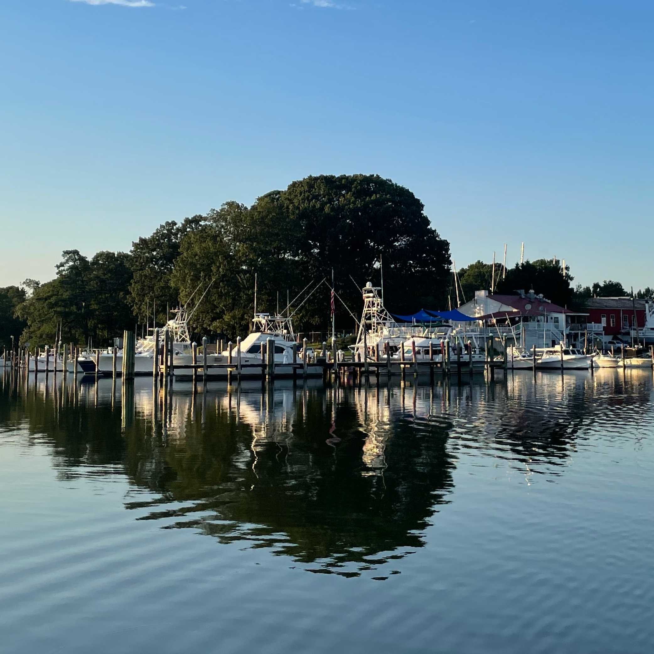 Dennis Point Marina And Campground