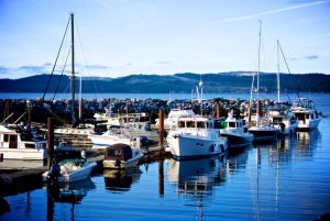 Beach Gardens Hotel And Marina