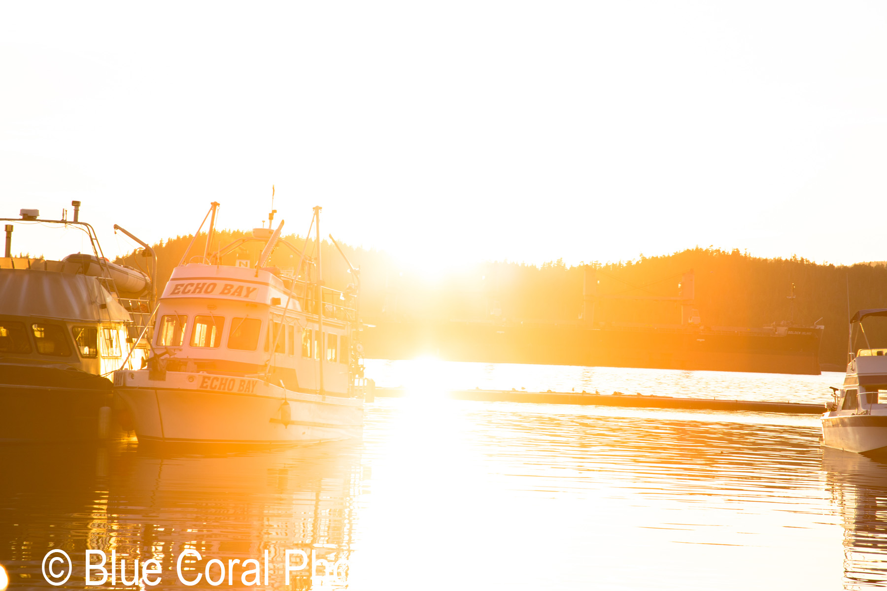 Prince Rupert Rowing And Yacht Club
