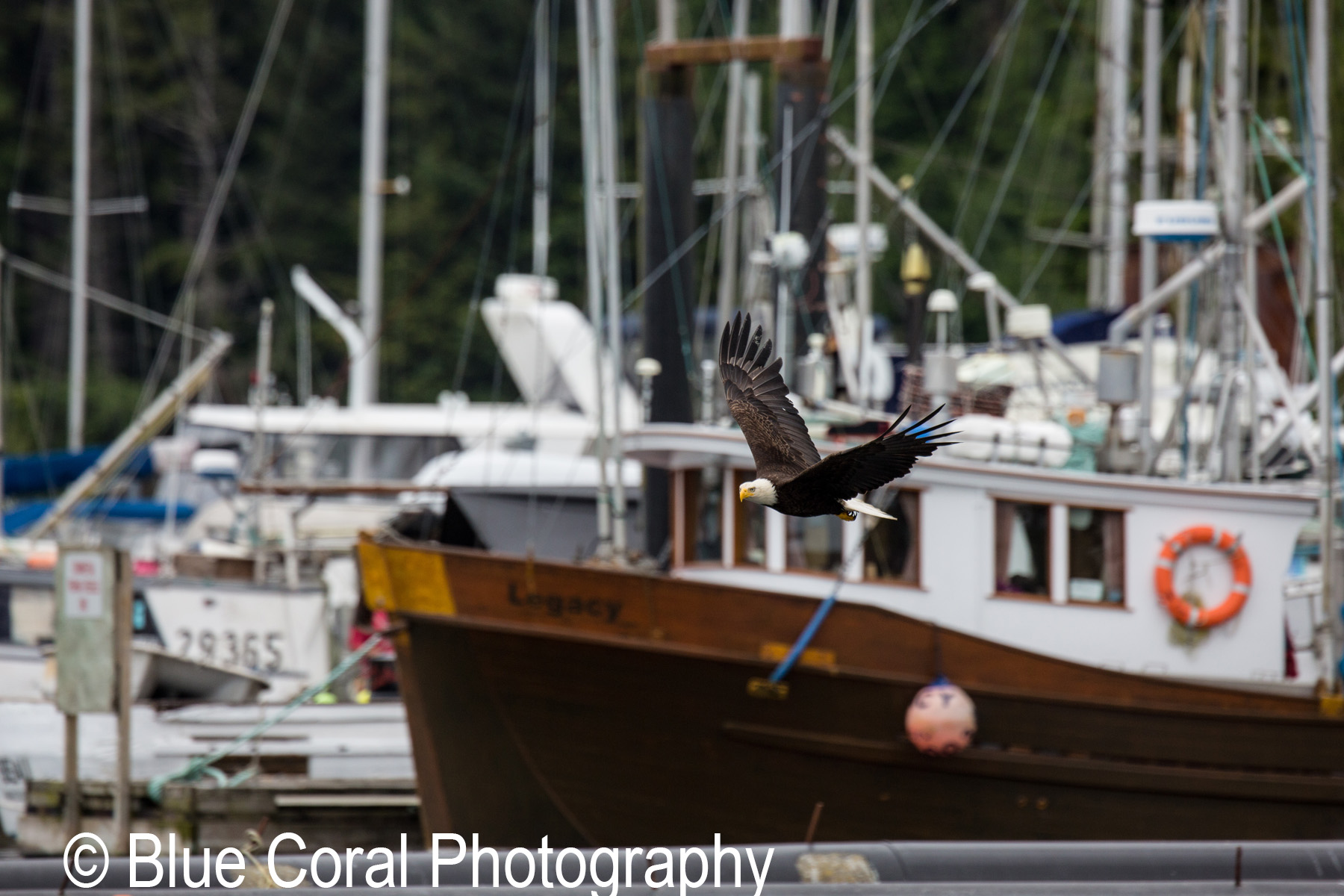 Prince Rupert Rowing And Yacht Club