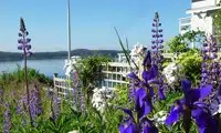 Castine Town Dock