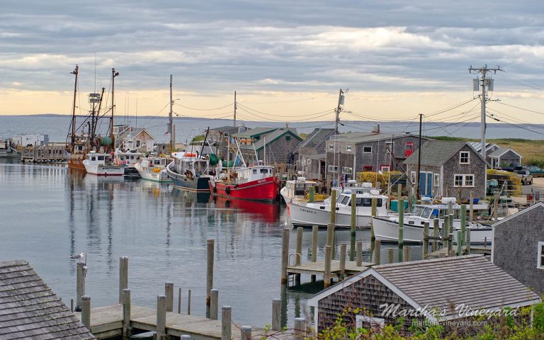 Menemsha Harbor