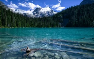 Belcarra Regional Park Dinghy Dock