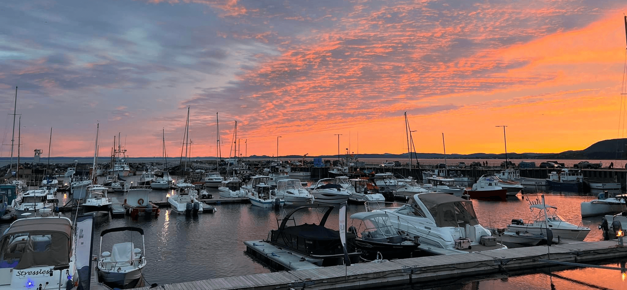 Marina De Carleton
