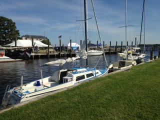 Belhaven Town Dock Wynne's Gut