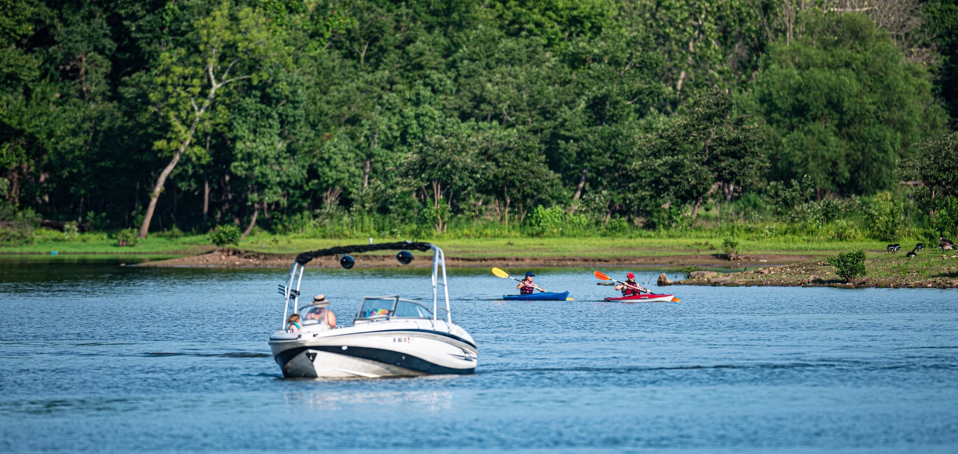 Cole's Evergreen Marina