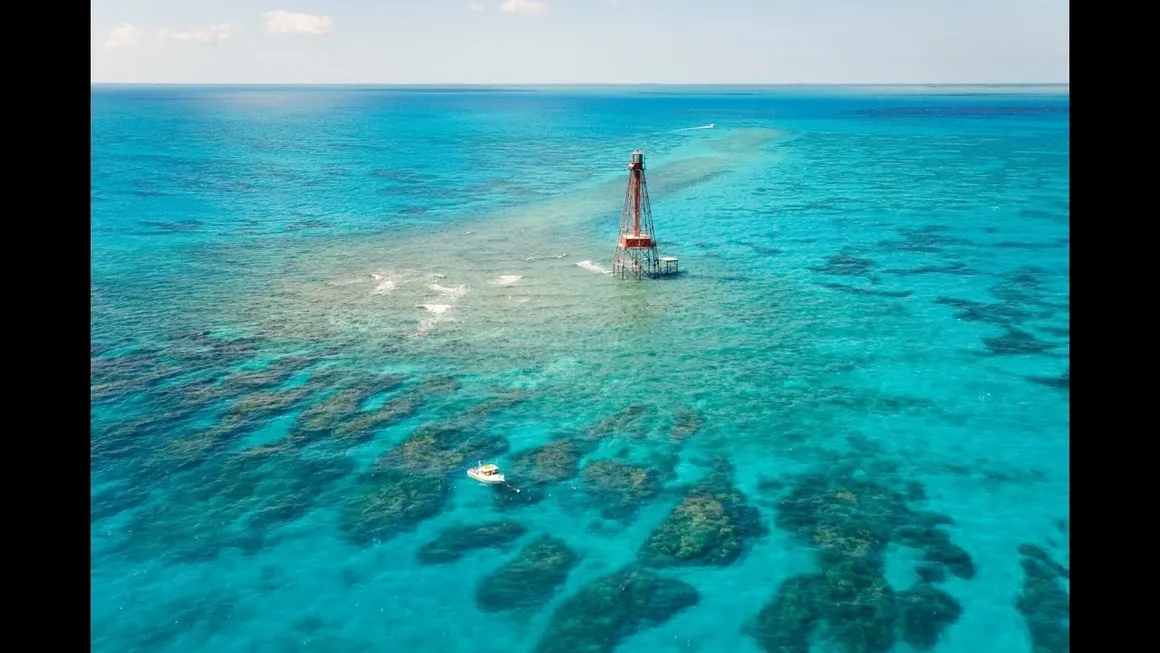 Bonefish Marina And Condo Association